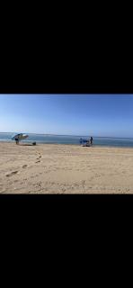 Condado De Alhama - 1