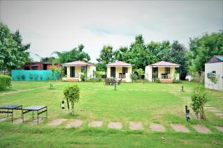 Ranthambore Jungle Home - Khilchipur - 8
