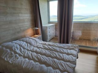 Superbe appartement avec loggia - Super Besse - 5