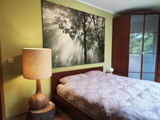 Apartement Wald-Panorama Fuchsenstein - Spiegelau - 6