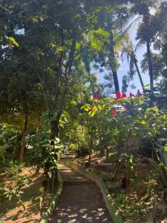 Villa Flamboyant - 3