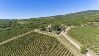 Fico del Corno - Radda in Chianti - 7