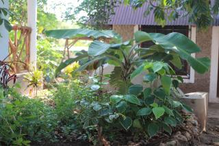 Jambiani Café & Bungalow - Jambiani - 9