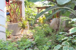 Jambiani Café & Bungalow - Jambiani - 5