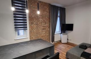Apartament Vilda 2 - Poznań - 1