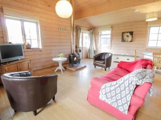 Curlew Lodge - Dumfries - 8