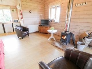 Curlew Lodge - Dumfries - 6