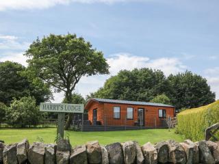 Harry's Lodge - Chesterfield - 0