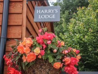 Harry's Lodge - Chesterfield - 7