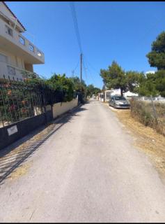 A Relaxing and Peace home for the best Vacation - 6