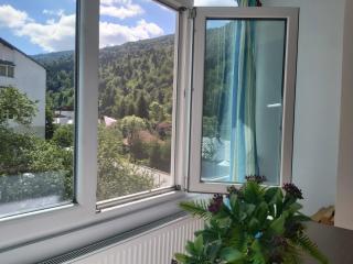 Apartment Valea Azugii - 0
