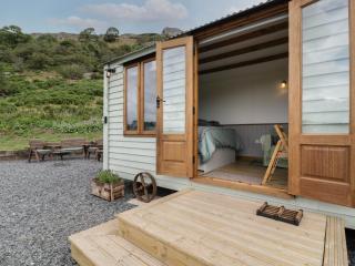 Tan Y Castell Shepherds Hut - 9