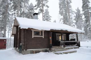 Unique winter holiday in pine forest - 0