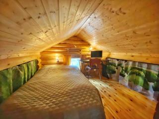 Unique winter holiday in pine forest - 2