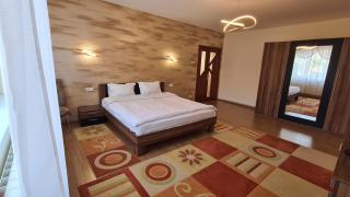 Perfect Residence Sibiu - Sibiu - 9
