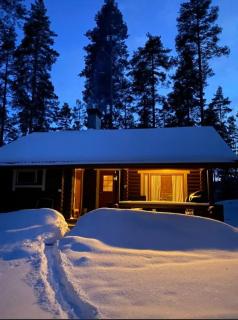 Unique winter holiday in pine forest - 9