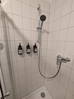 Wohnung in Hallischer Innenstadt - Halle an der Saale - 1
