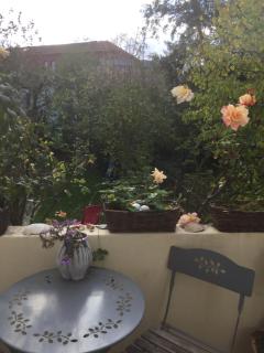 Ravissante petite suite - Colmar - 5