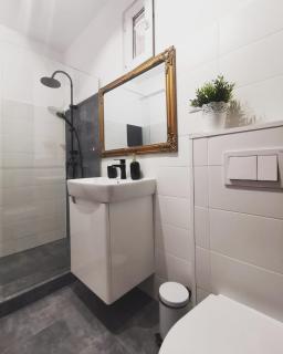 Astra Home - Sibiu - 4