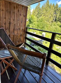 Forest Apart - Predeal - 6
