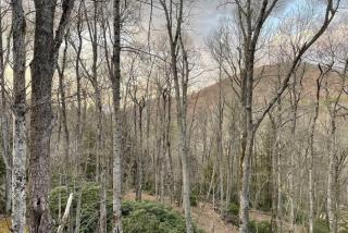 Sprawling Blowing Rock Escape with Theater and Hot Tub - Blowing Rock - 7