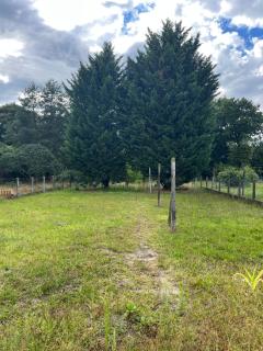 Maison lamotte beuvron - 1