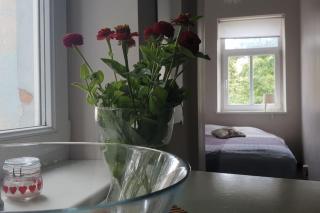Holiday Nest on Uliha Street - Liepāja - 9