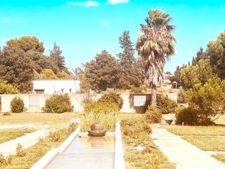 Les Madones - Nimes - 3