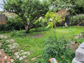 Spacious Room with Garden in Croydon London - 1