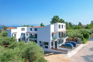 Olive Roots - Skala Rachoniou - 5