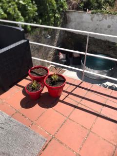 Casa do Mercador by Portus Alacer - Avis - 1