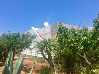 Villa ilporticciolovacanze 22 - Villanova di Ostuni - 2