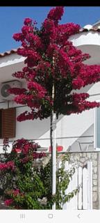 Luxury Dennis Home - Sarandë - 4