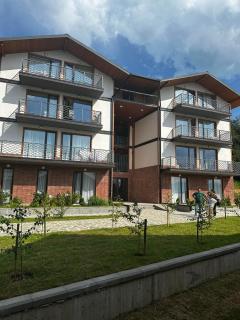 Apart Hotel Falkon - Bakuriani - 0