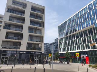 Riverside apartment by the Danube - Budapest - 9