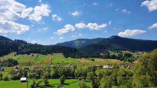 Casa Viorica -Botoș - 7