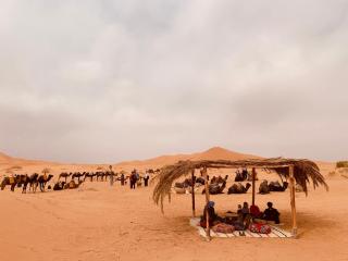 Merzouga Glamping Camp - 2