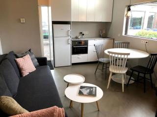 Adorable one bedroom apartment with free parking. - Reikiavik - 0