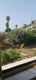 B&B Calù - Cittadella del Capo - 7