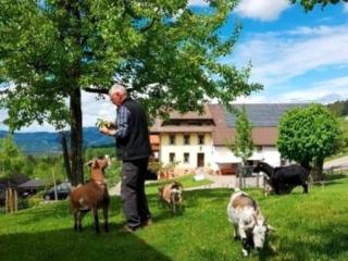 Ferienwohnungen Maierhof Oberried - Oberried - 2