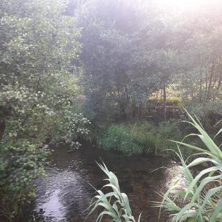 Moinho das Cavadas - Ponte da Barca - 7