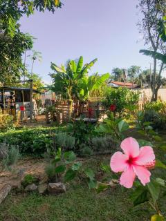 Hospedagem Alternativa - Alto Paraíso de Goiás - 8