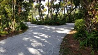 Palm View: Secluded Oasis in Melbourne Village - 0