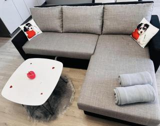 Apartments with parking space Delnice, Gorski kotar - 21611 - 1