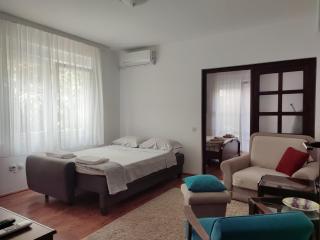 MILA city center-free parking - Vranje - 1