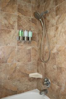 Hidden Emerald-Apartment with Kitchen and Laundry - Lakeland - 8