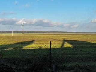 Mühlenurlaub Südheide - 9