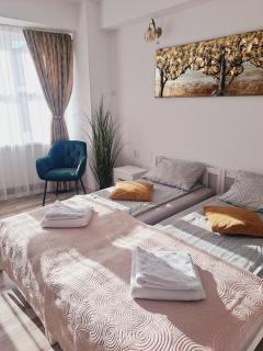 7 Levél Central Apartments - Miercurea-Ciuc - 8