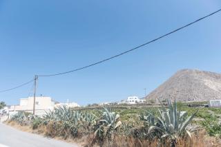 Pure and Simple Santorini - 9