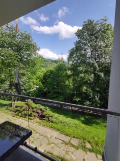 Apartament u Dziubasków - Ustroń - 1